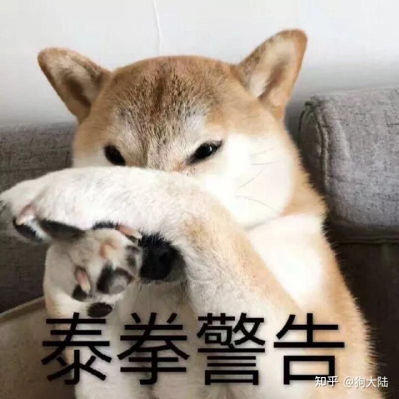 狗子“轻轻咬你”，才不是跟你玩，而是有这些原因！ - 知乎