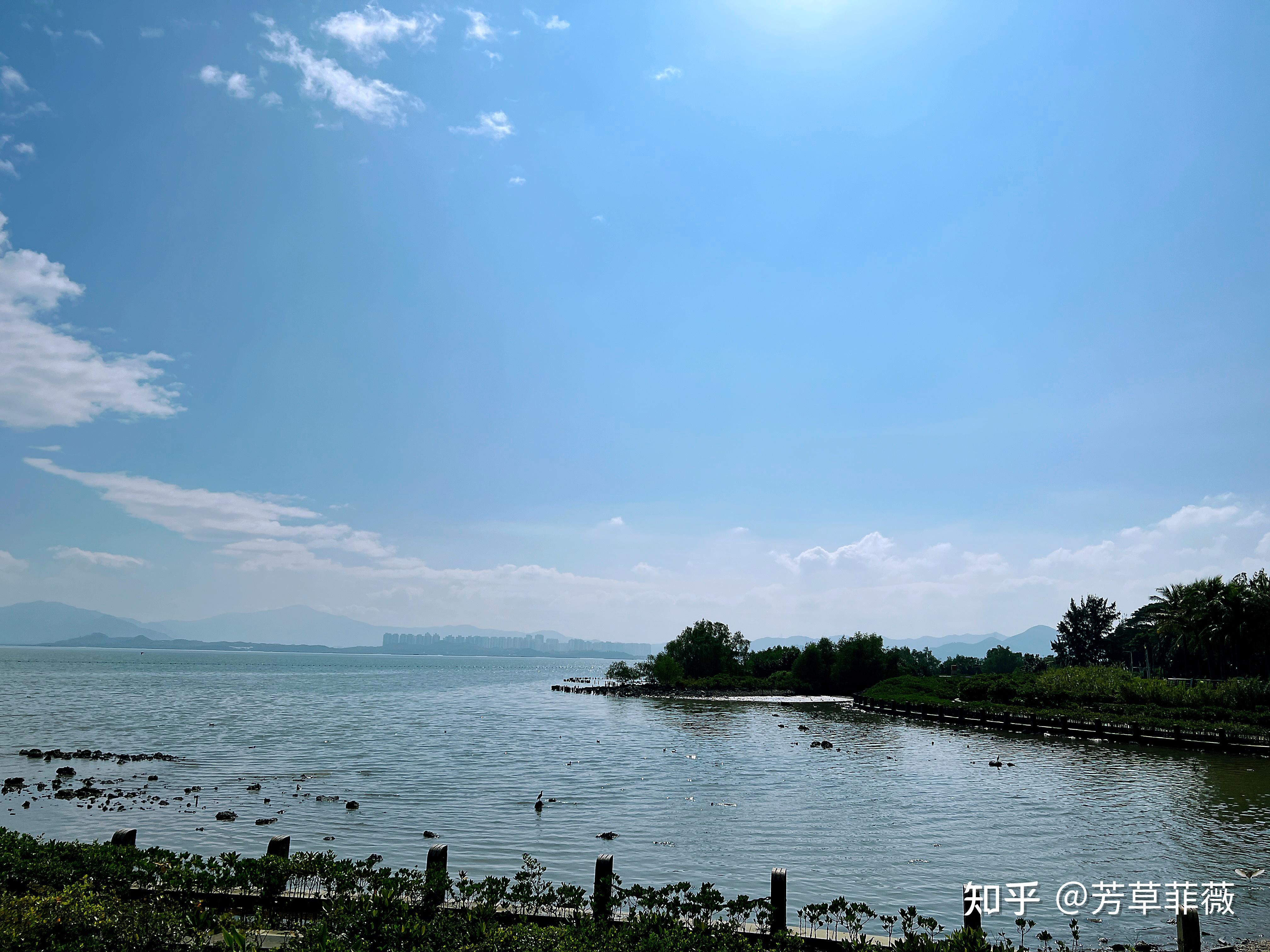 2025周末深圳好去处,深圳绿道徒步(持续更新中~) - 知乎