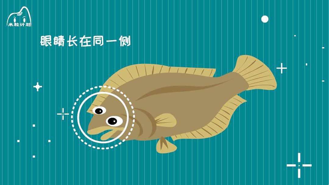 你听说过最没用的冷知识是啥? - 知乎