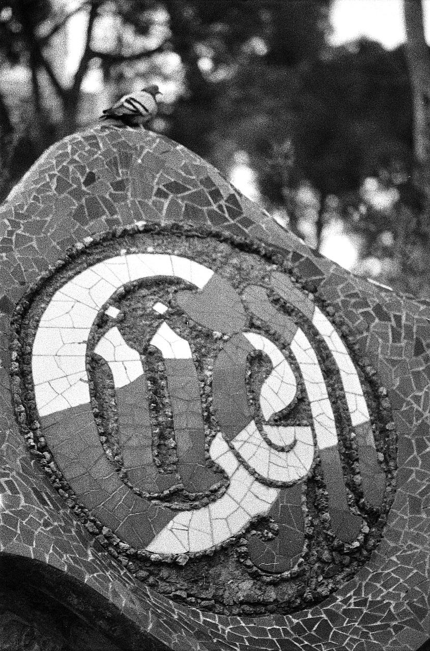 2. 优质教育资源