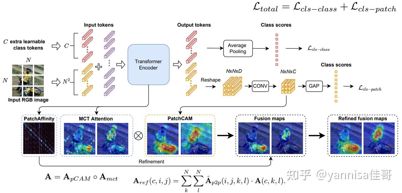 MCTformer:Multi-class Token Transformer for Weakly supervised Semantic ...