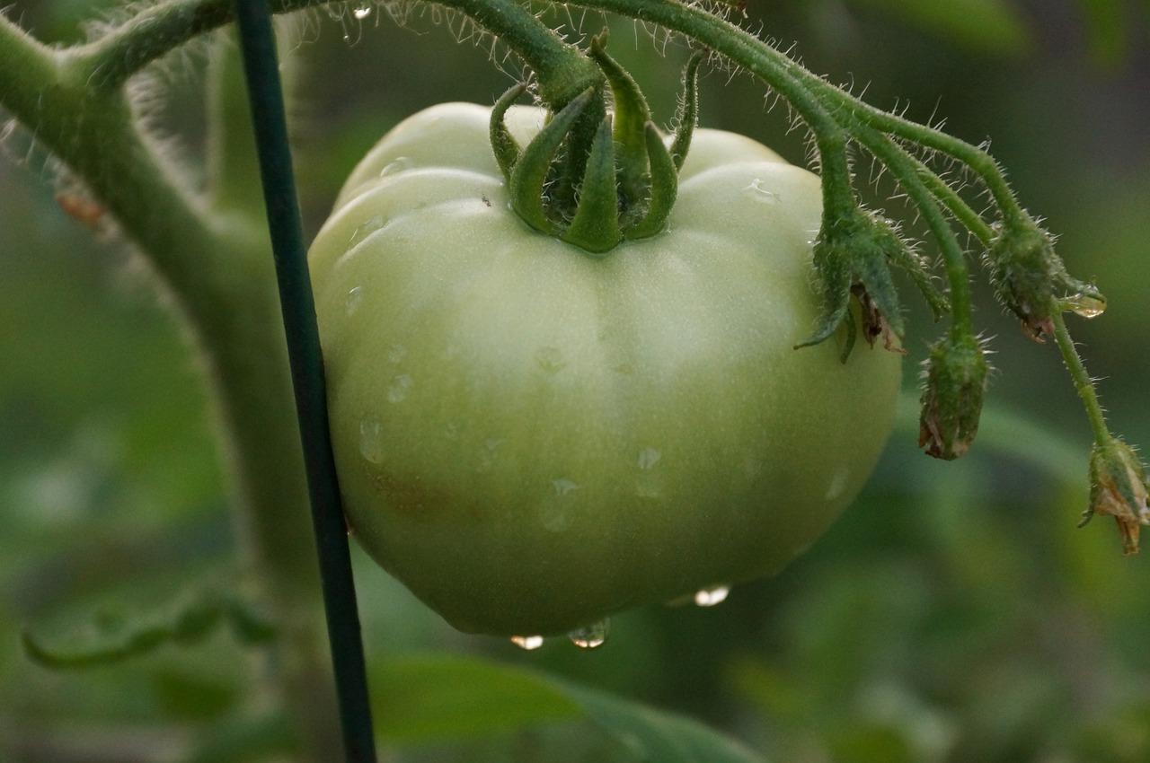 卧室空间布局技巧