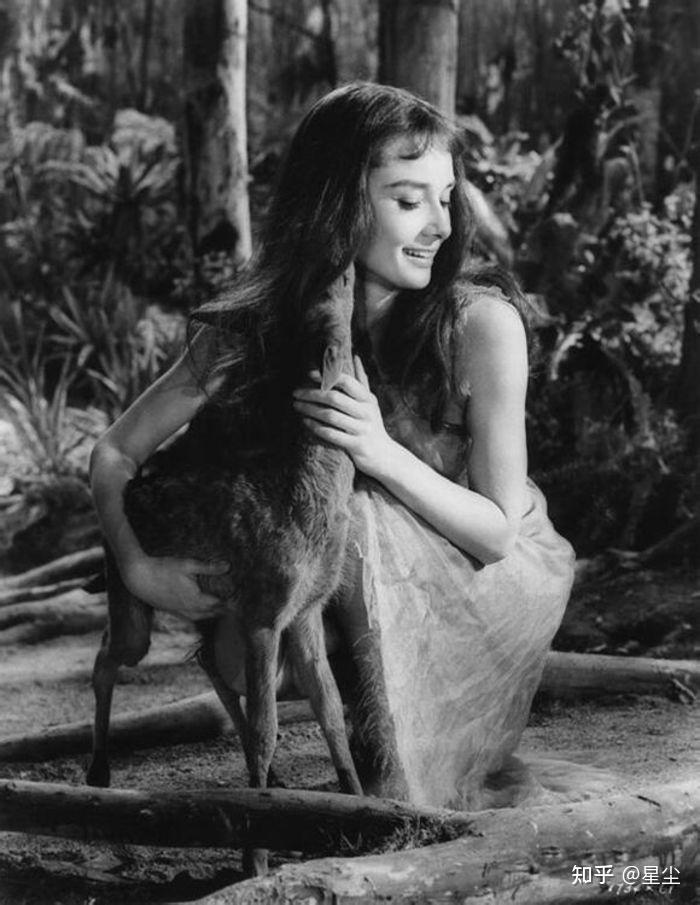 奥黛丽·赫本是不是被过分推崇了?