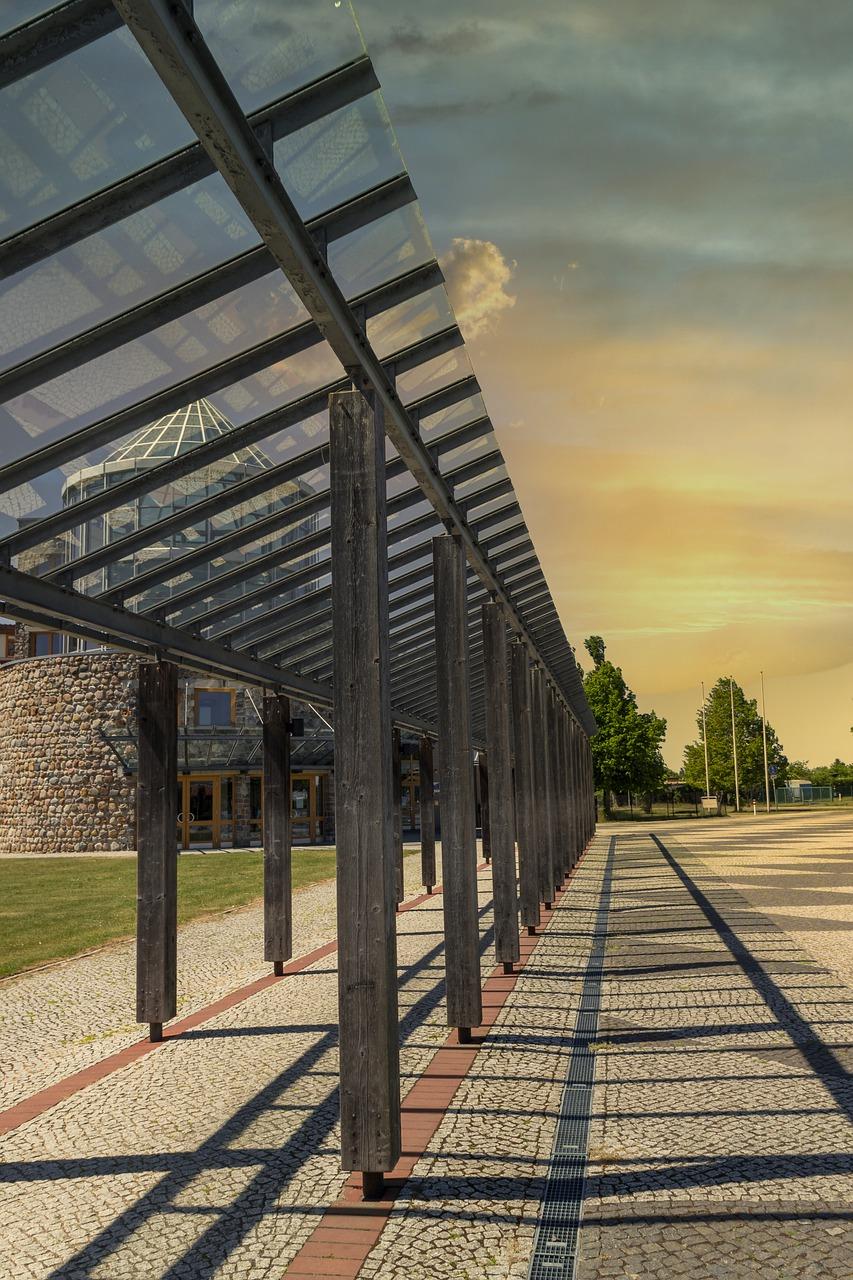 二十年后我的职业规划