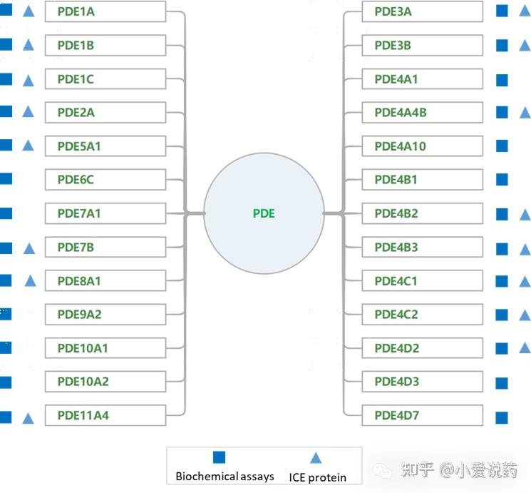 Pde PDE家族蛋白产品 - 知乎
