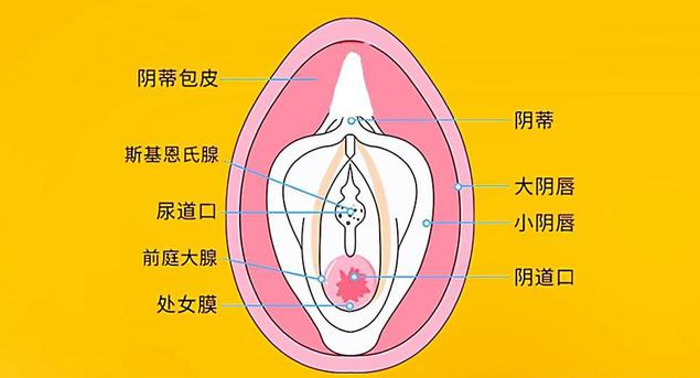zhuanlan.zhihu.com