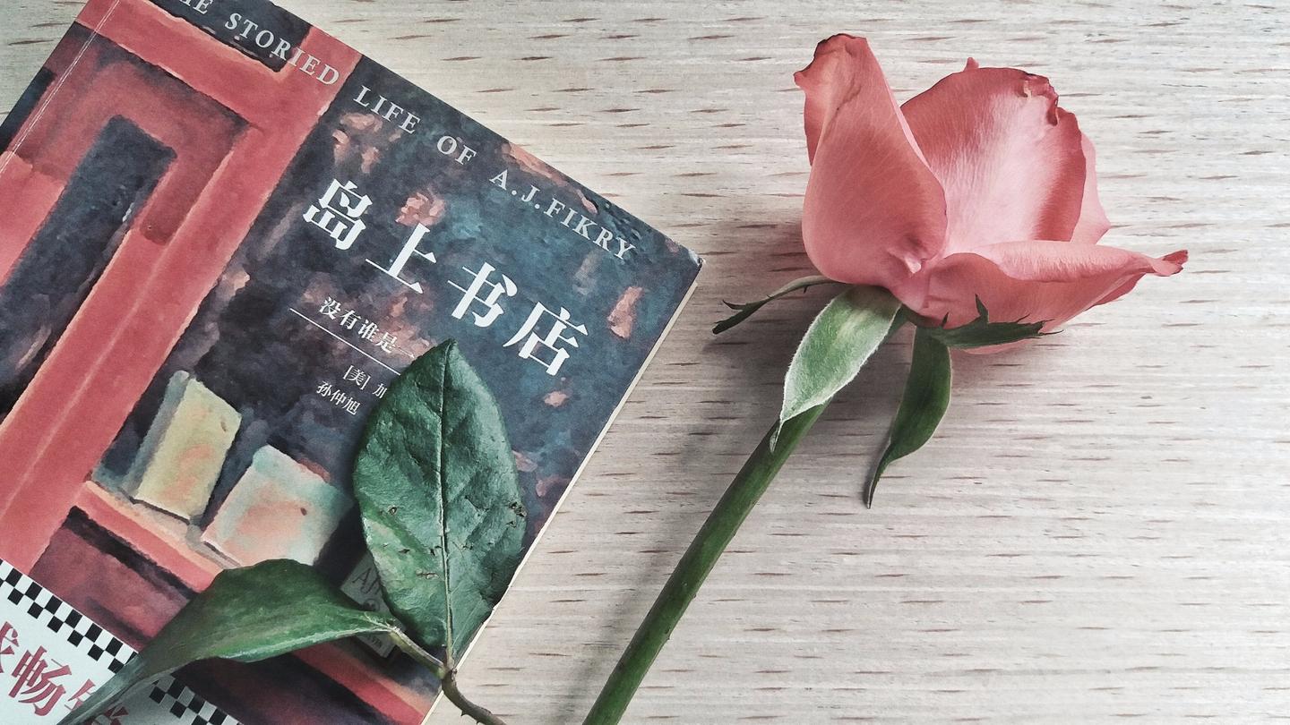 岛上书店没有书店的地方算不上是个地方