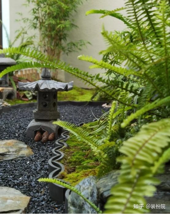 青岛装扮院花园设计│庭院常见铺地植物推荐 - 知乎