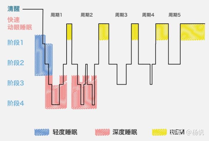 关于睡眠的一些小事 知乎 