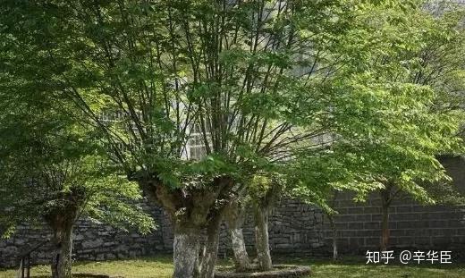 一起来谈