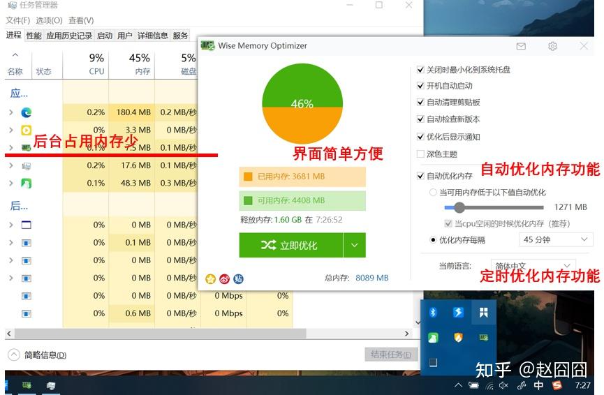  wise memory optimizer 