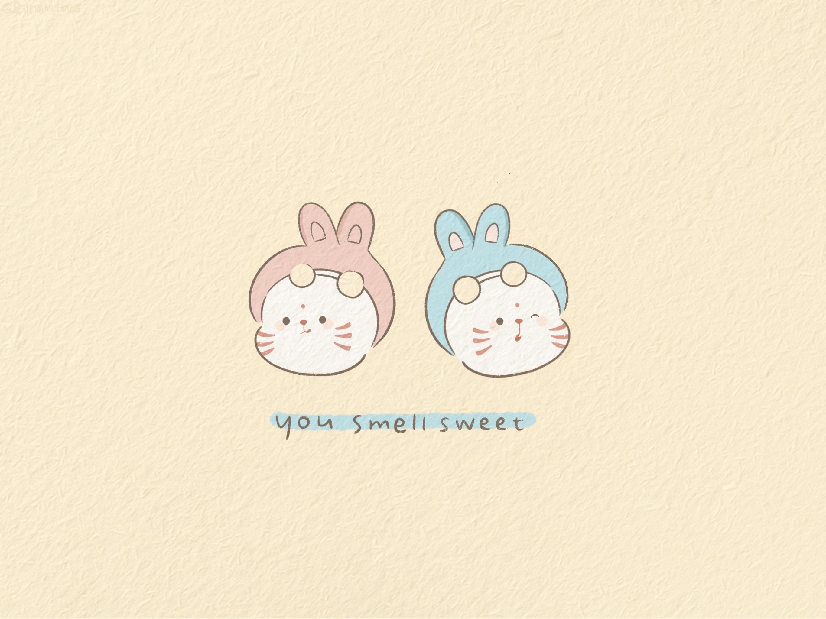 有没有比较高级的ipad壁纸