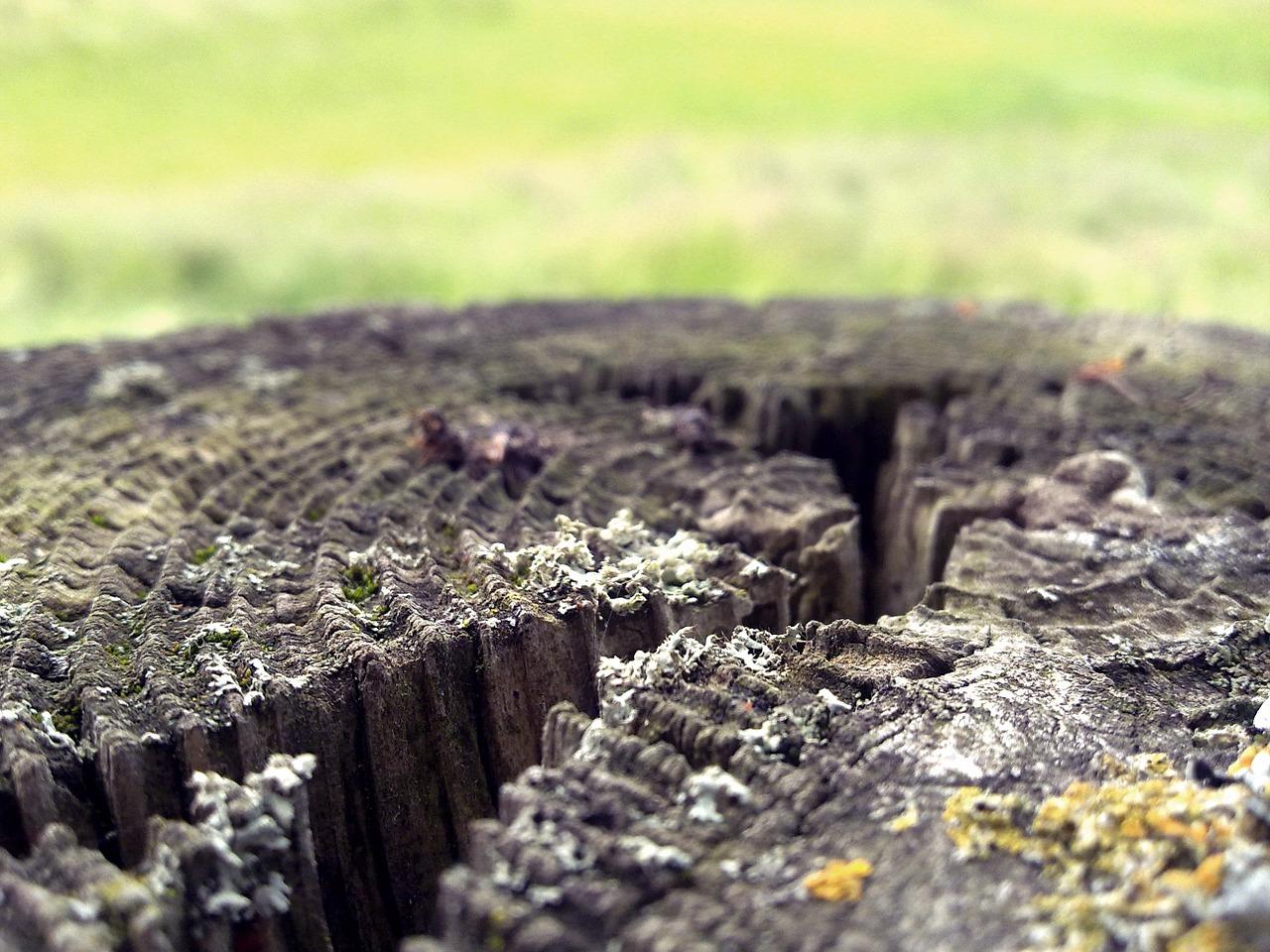 4. 草碳土活化处理