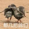 傻二蛋