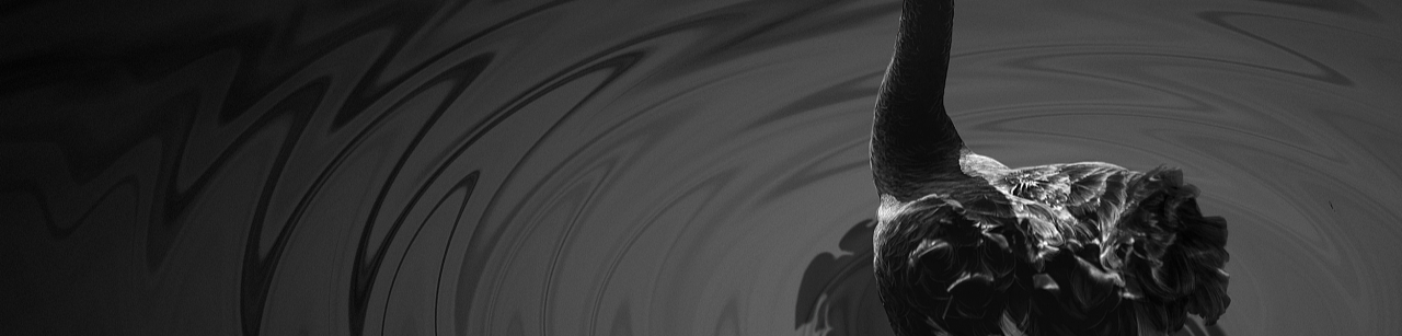 Zhihu banner for @PT