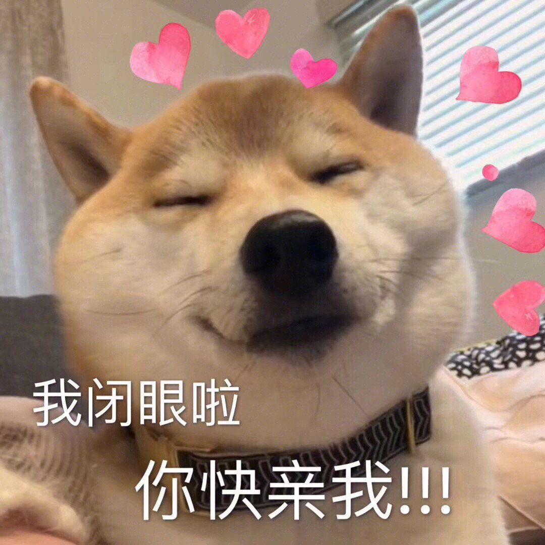 有哪些狗表情包(非经典)? - 知乎