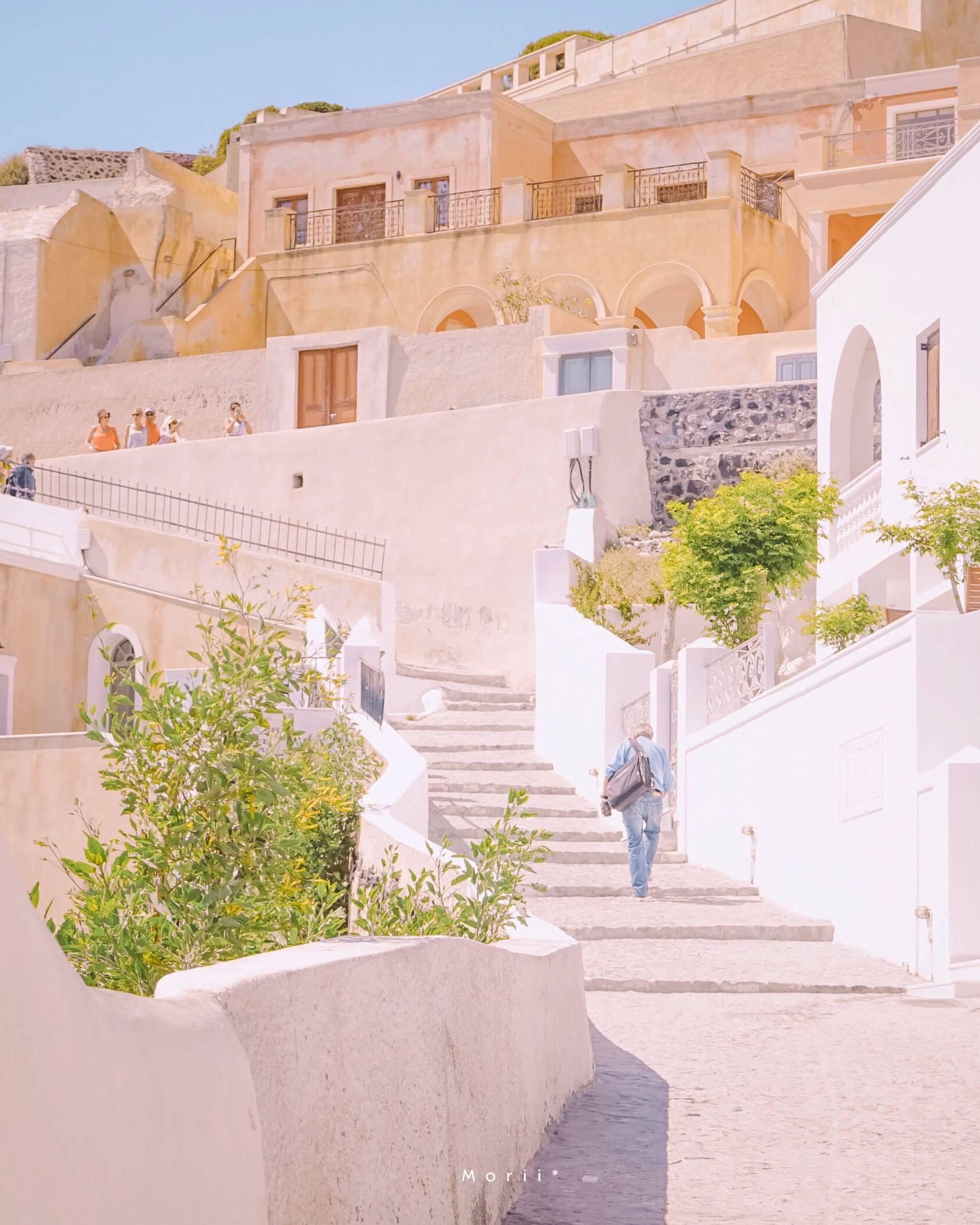 有什么清新脱俗久看不厌的手机壁纸