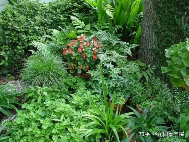 33种常见花境类型+营造干货，让你造一个好的花境 - 知乎