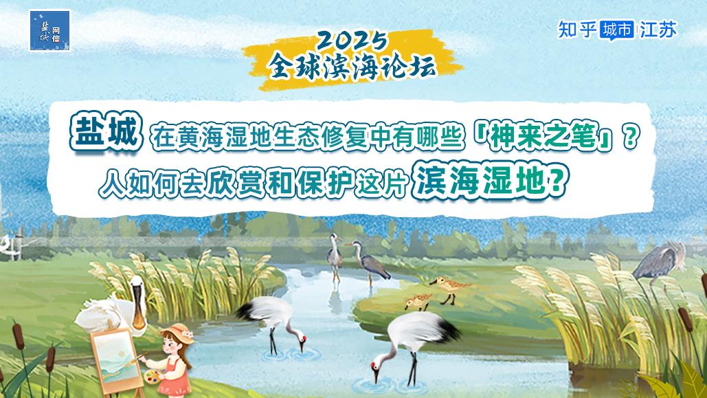 黄海之滨的涅槃：从「烽火盐阜」到「湿地样本」的文明嬗变 - 知乎