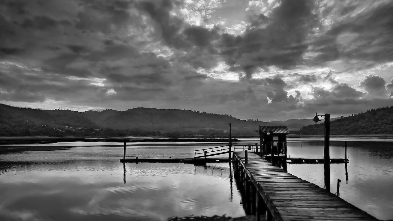 4. 稀缺景观户型