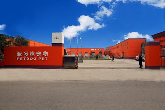 宠物训导师怎么考 知乎 宠物训导师怎么考 知乎