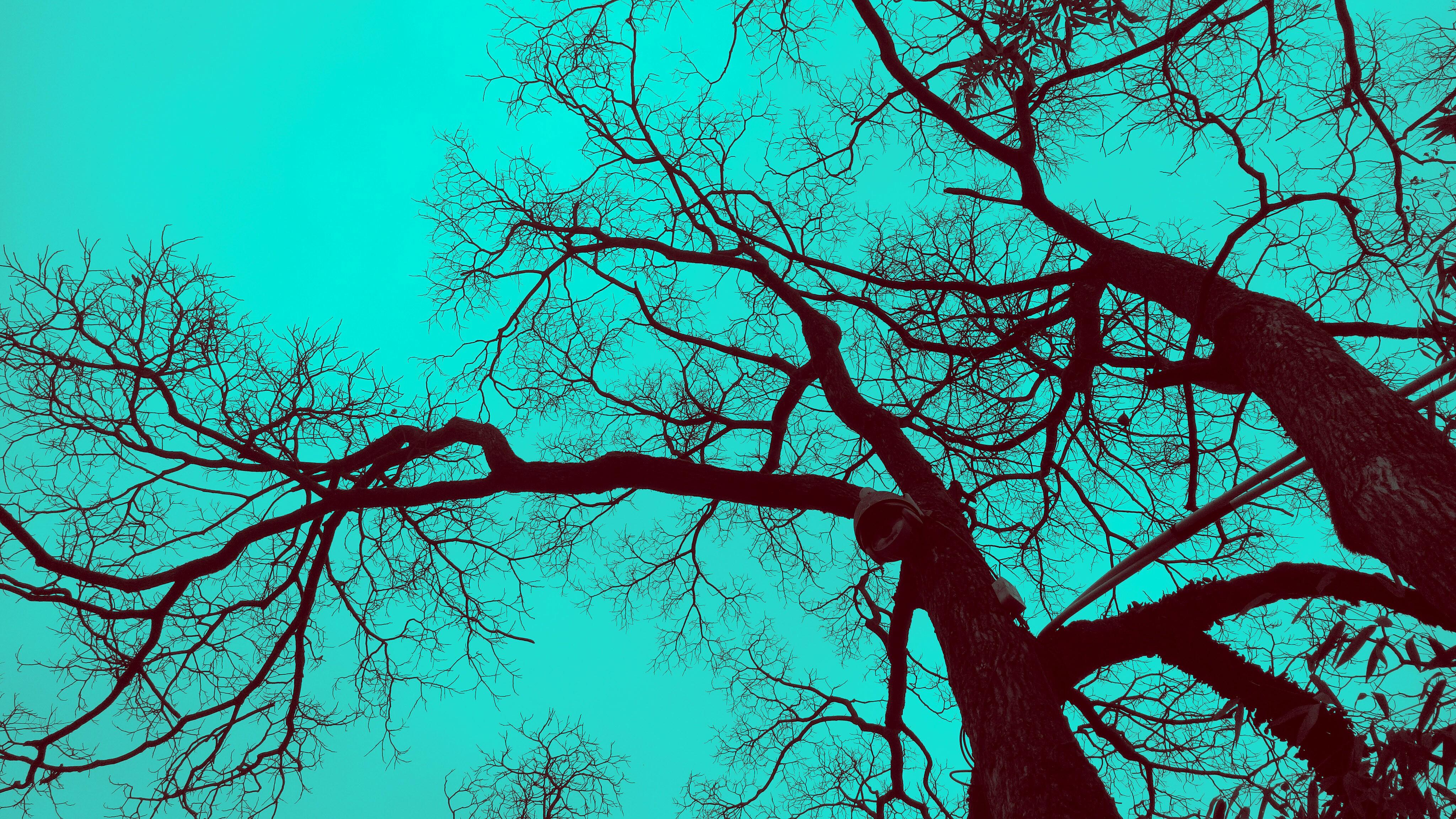 Zhihu banner for @gatekeeper