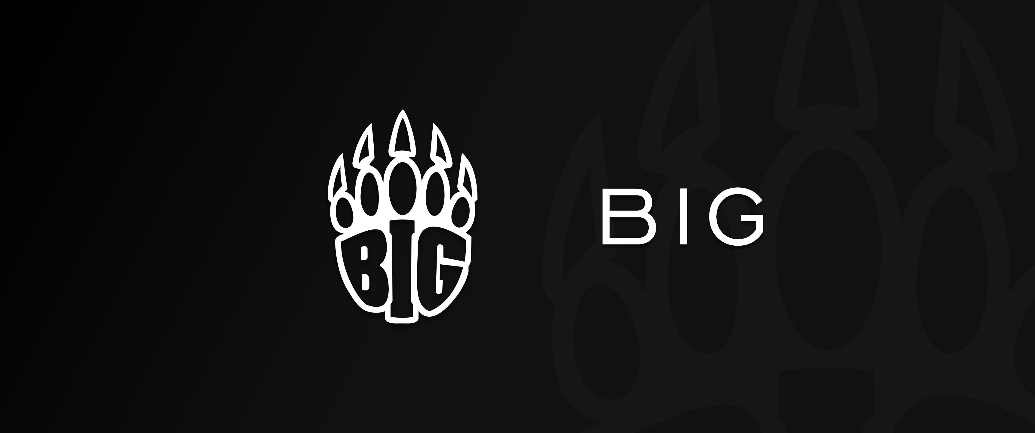 big战队logo图片