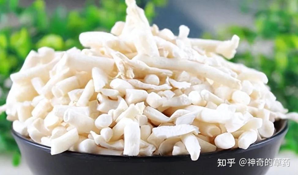 中药材:小通草 - 知乎
