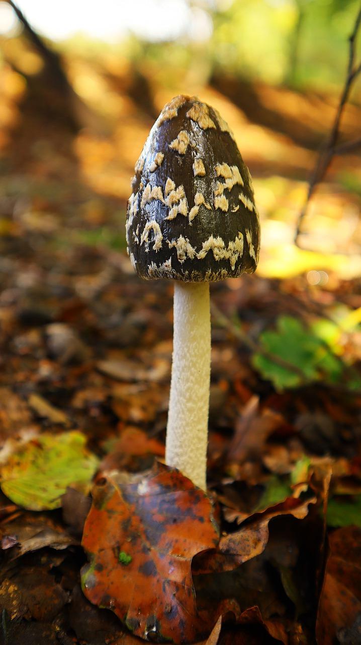 4. 防护措施指南