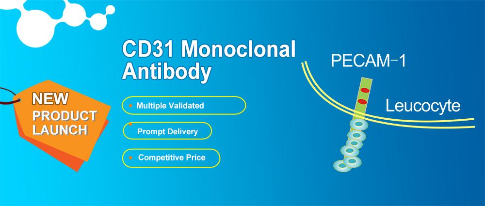 v2-2f793f4d600539ce4a354981311f6b1a_1440w.jpg?source=172ae18b