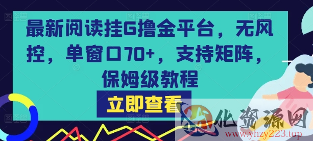 最新阅读挂G撸金平台，无风控，单窗口70+，支持矩阵，保姆级教程【揭秘】