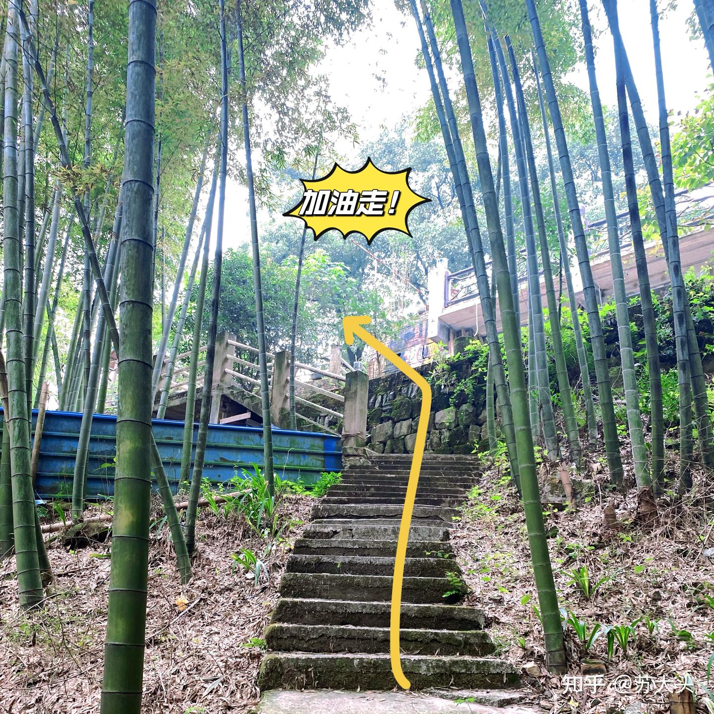 重庆徒步爬山圣地：缙云山免门票上山详细路线指引 - 知乎