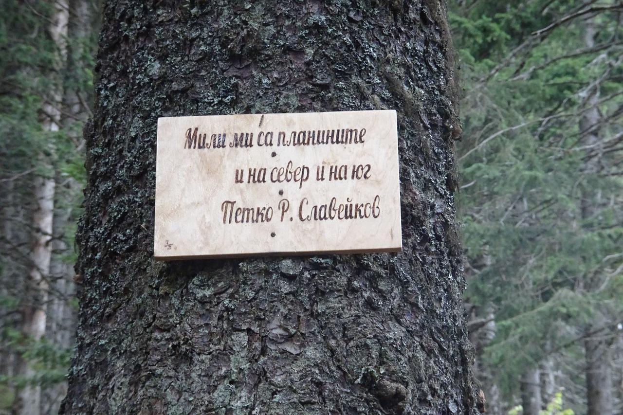 3. 标准方案费用