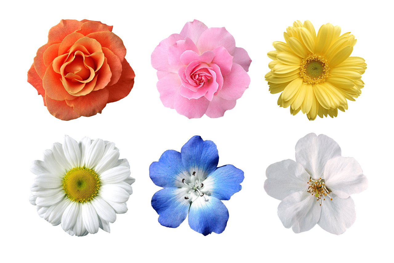 5. 父亲节购物指南