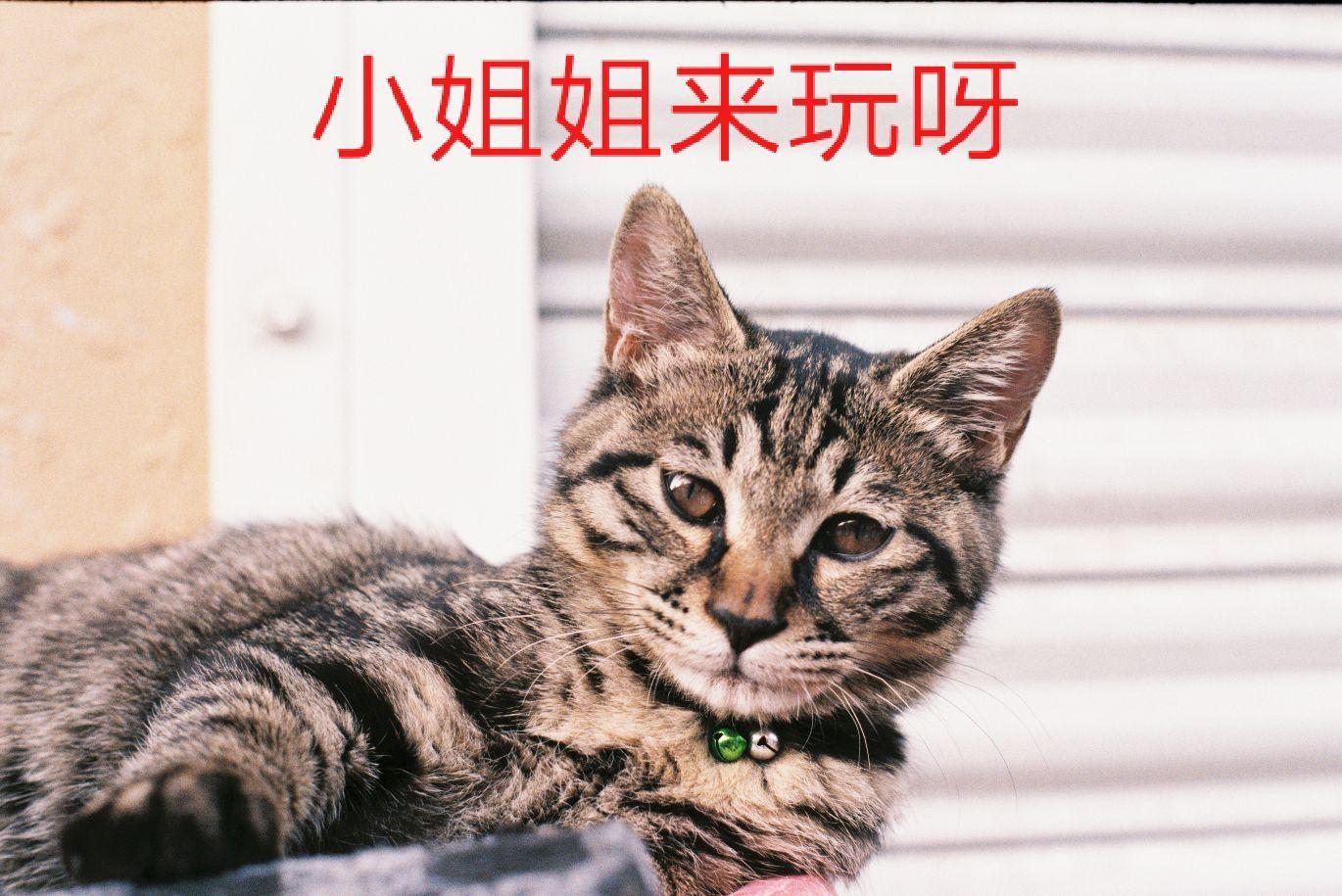 因为小事吵架男朋友坚持分手怎么卑微都不和好了我还有必要坚持吗