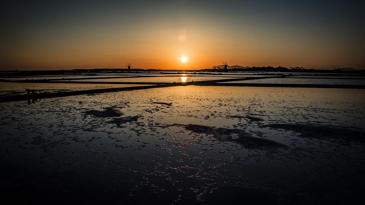 4. 腌制蔬菜秘籍