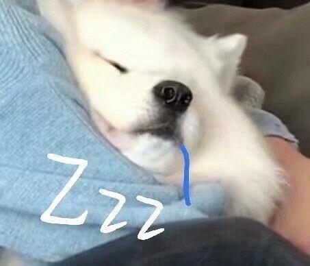 有没有睡觉的头像可爱一点的都可以哟多谢