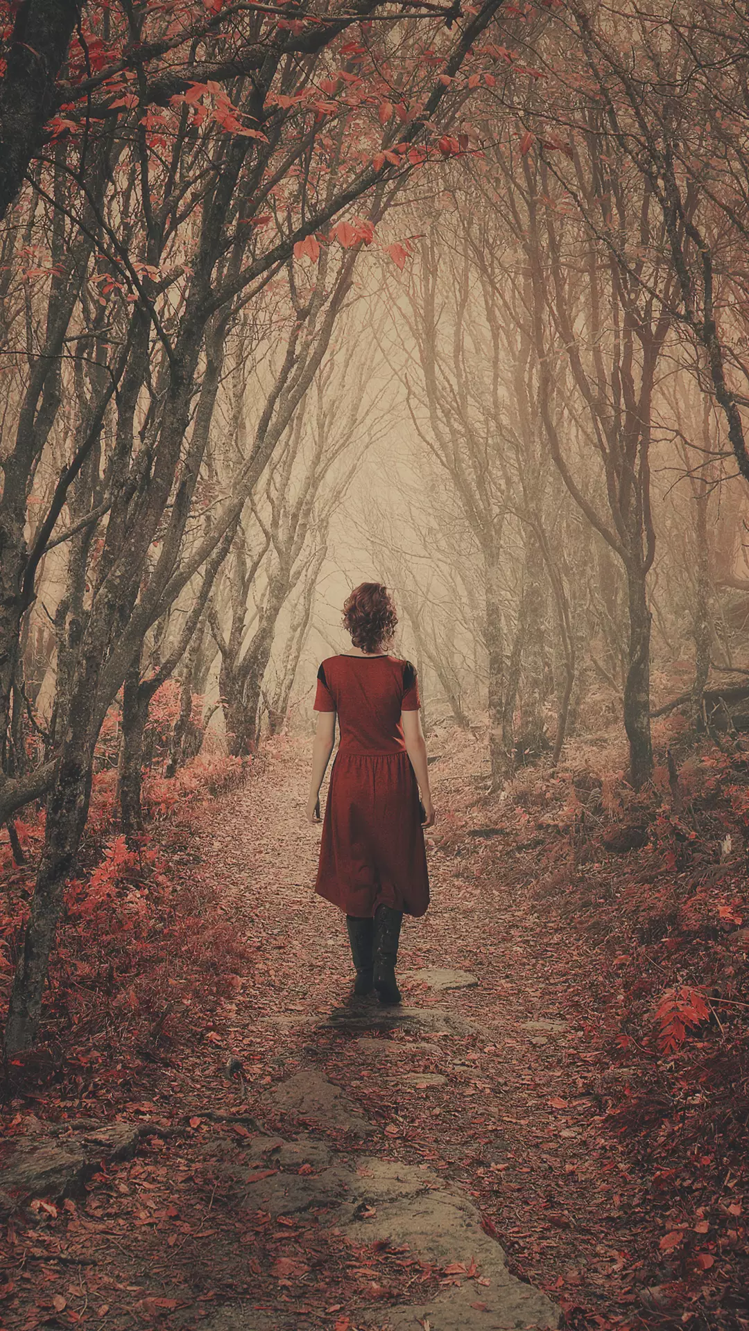 有没有哪些压抑的森林壁纸? - 知乎