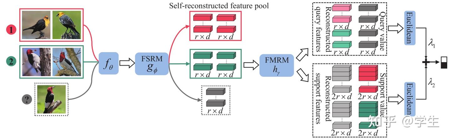 Bi-directional Feature Reconstruction Network for Fine-Grained Few-Shot ...