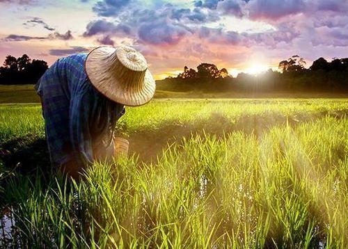 三农究竟指的是什么？三农是指哪三农？ - 知乎