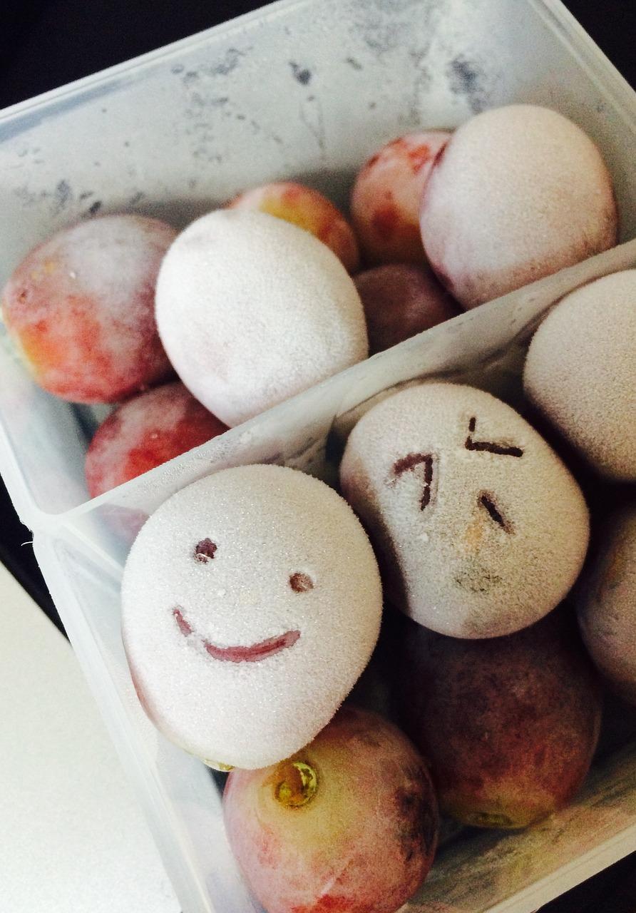 4. 冷藏保鲜技巧