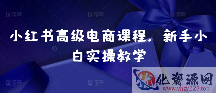 小红书高级电商课程，新手小白实操教学