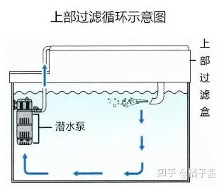 鱼缸挑选尺寸_鱼缸冲浪泵会影响鱼吗_亚克力鱼缸材质