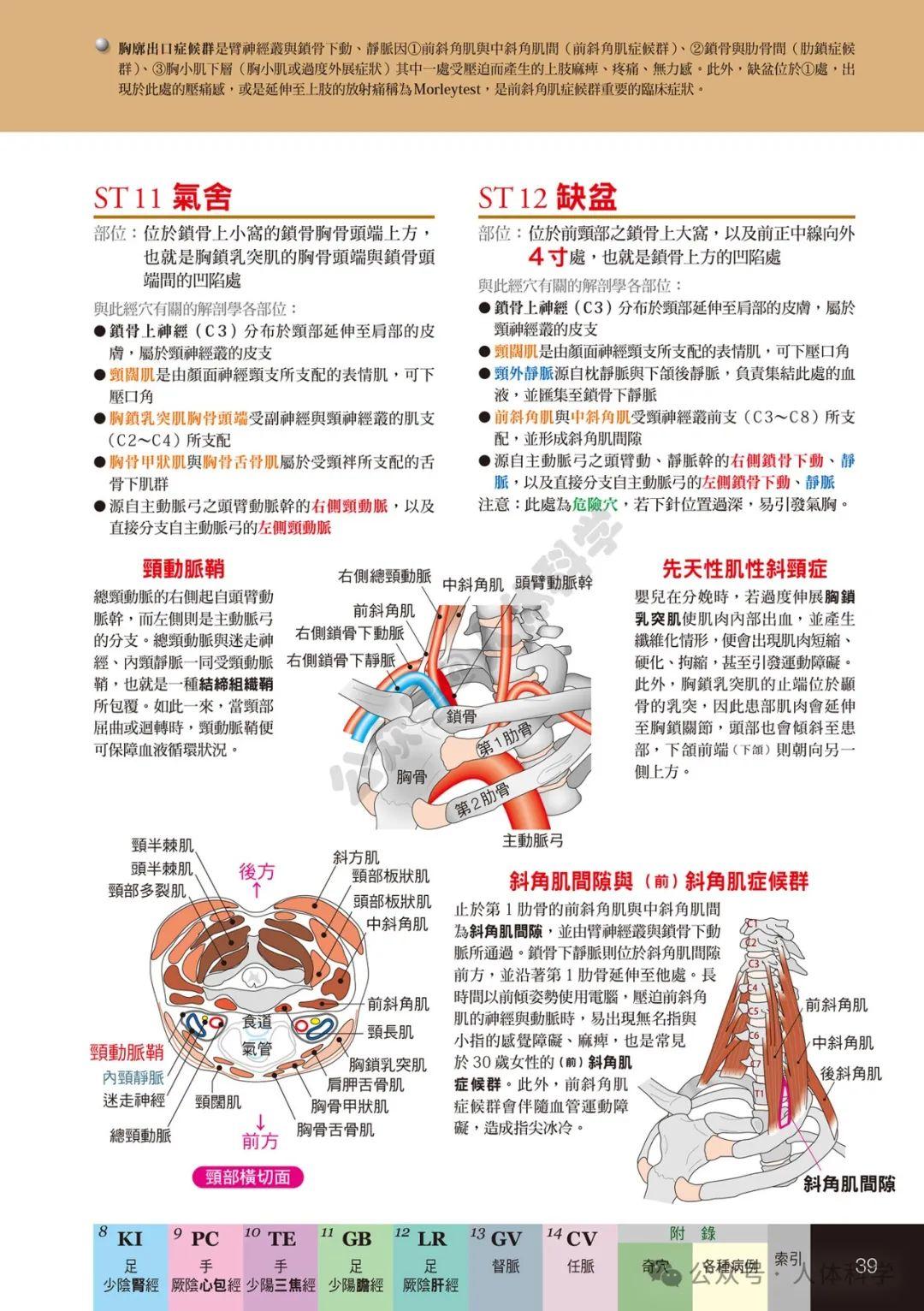 【经穴科学】中医解剖学全身穴位高清图集② - 知乎