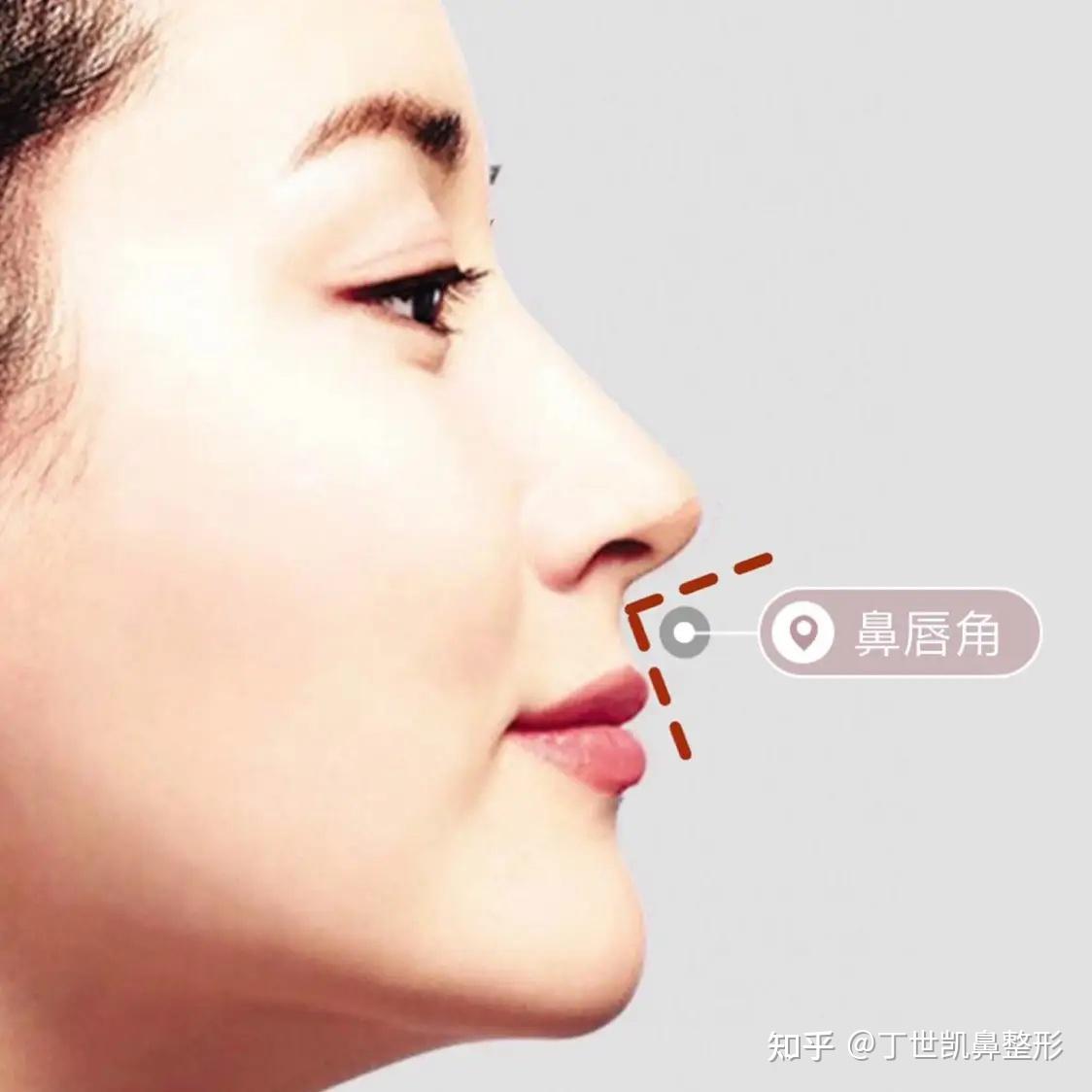 鼻子审美的几个角度——鼻额角、鼻唇角、鼻面角 - 知乎