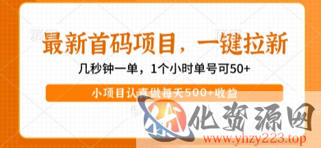 最新首码项目，操作最简单，收益高，一键拉新，1个小时单号可50+，小项目认真做每天5张+收益【揭秘】