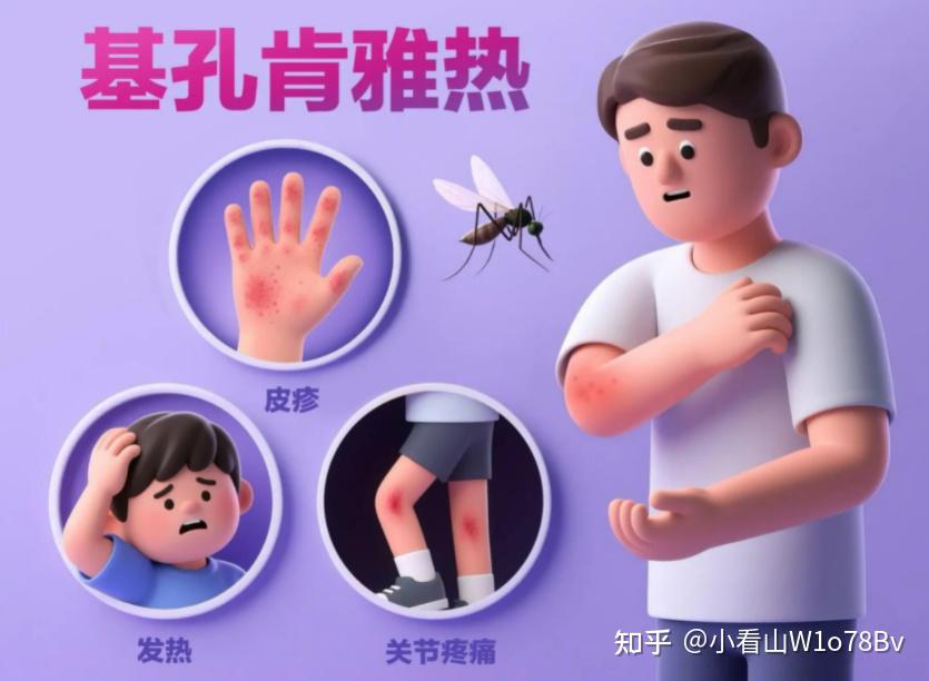 2026灭蚊器哪种品牌效果好?家用灭蚊灯品牌十大排行榜测评对比,帮你挑出家用口碑王者!