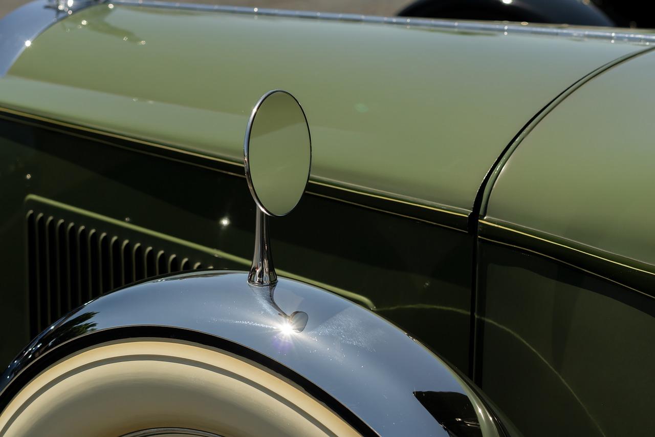 4. 假恐龙互动体验