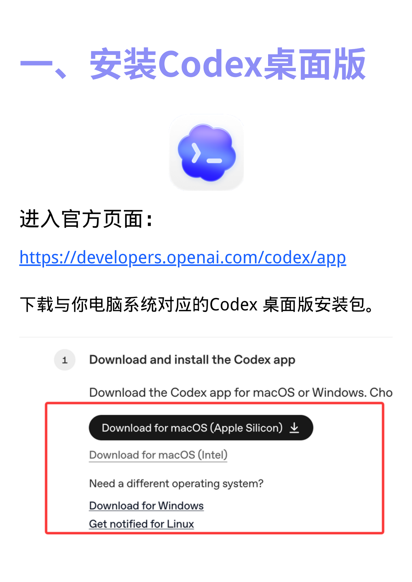 codex桌面客户端图文教程优化重制版插图1