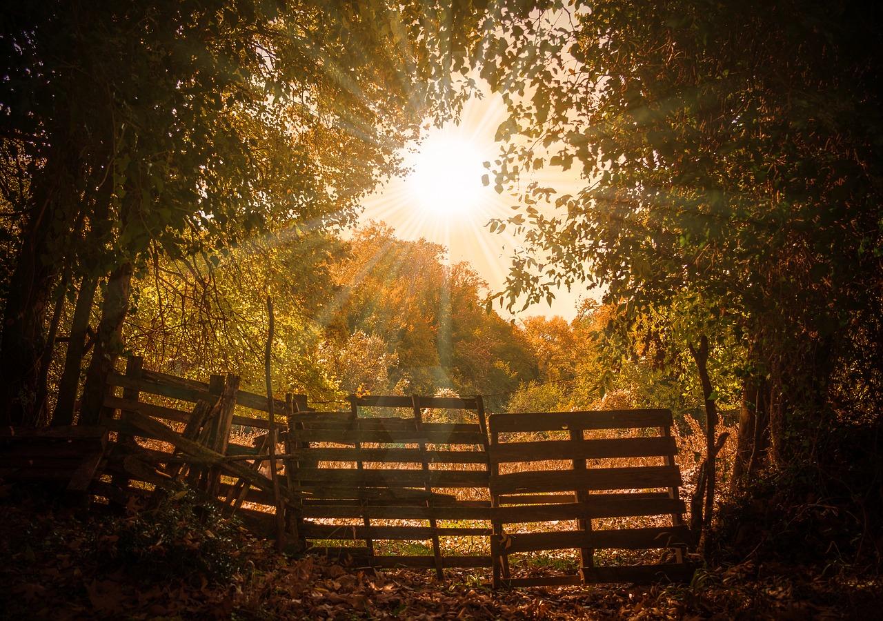 3. 私密庄园秘境寻